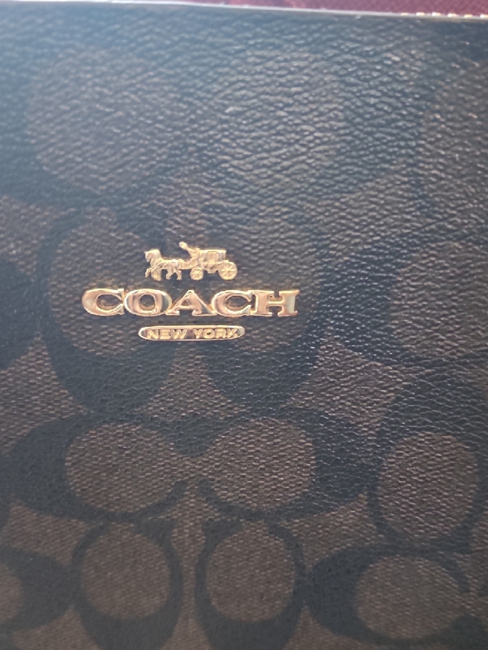 Coach Mollie Tote. PROJECT BAG. - Picture 5 of 15